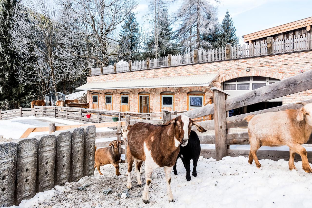 Вилла Peakini Farmhaus Унтертауэрн Экстерьер фото