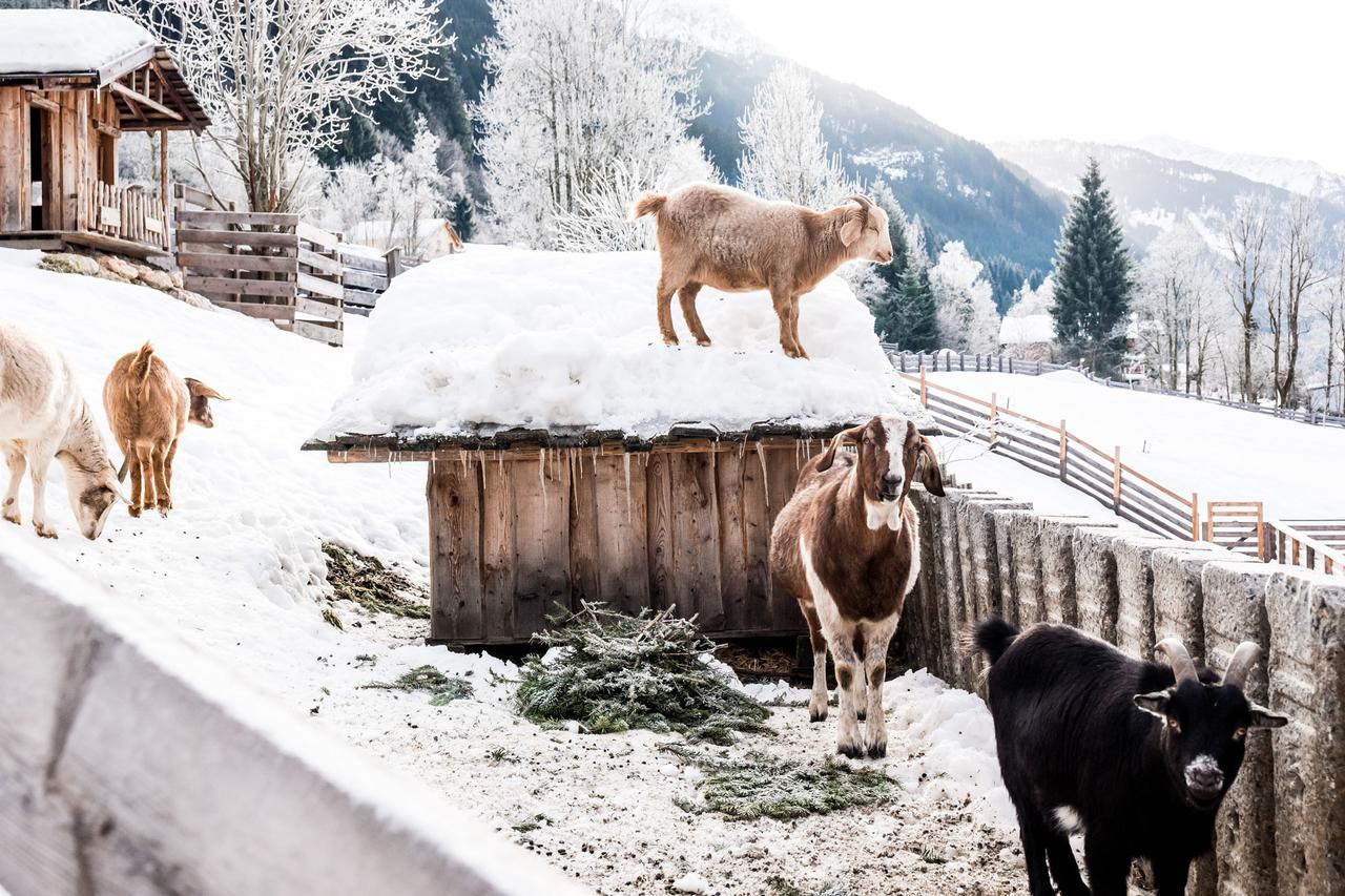 Вилла Peakini Farmhaus Унтертауэрн Экстерьер фото