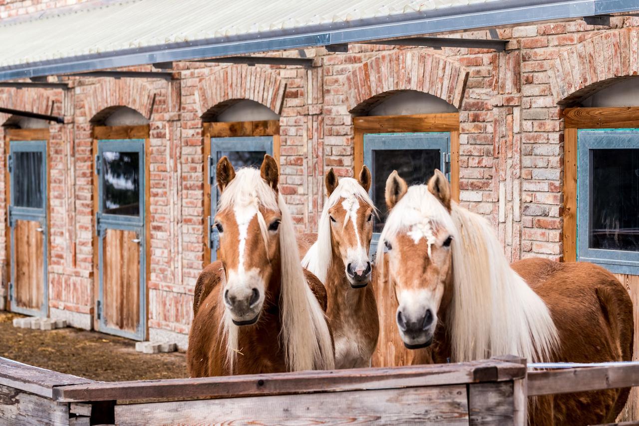 Вилла Peakini Farmhaus Унтертауэрн Экстерьер фото